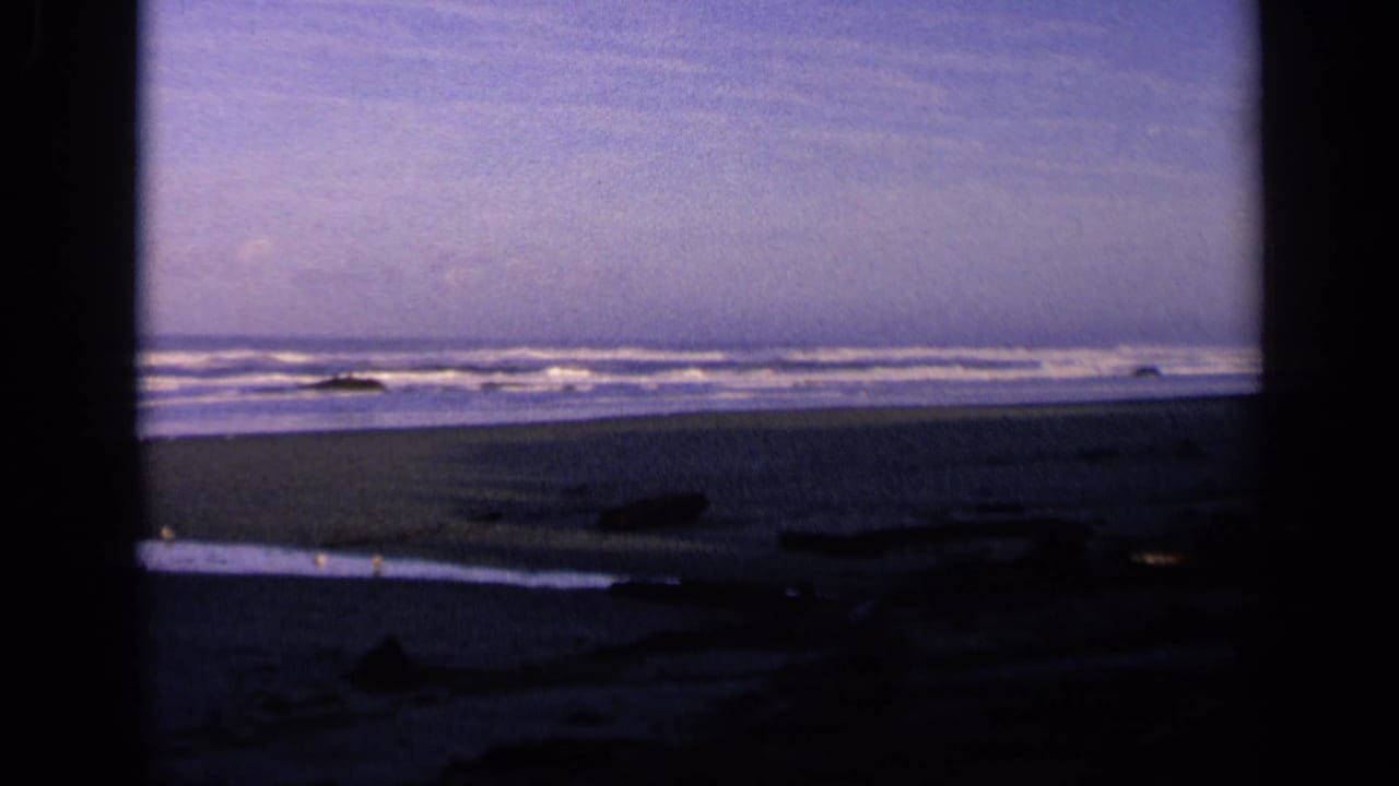 Dark-framed view of ocean waves, wet beach, driftwood, and distant rocks under a blue-purple sky.