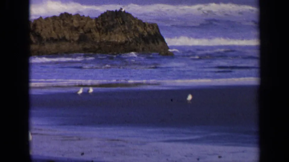 A rocky California coastal outcrop rises beside surf and wet sand, with small gulls visible near the lower shoreline.
