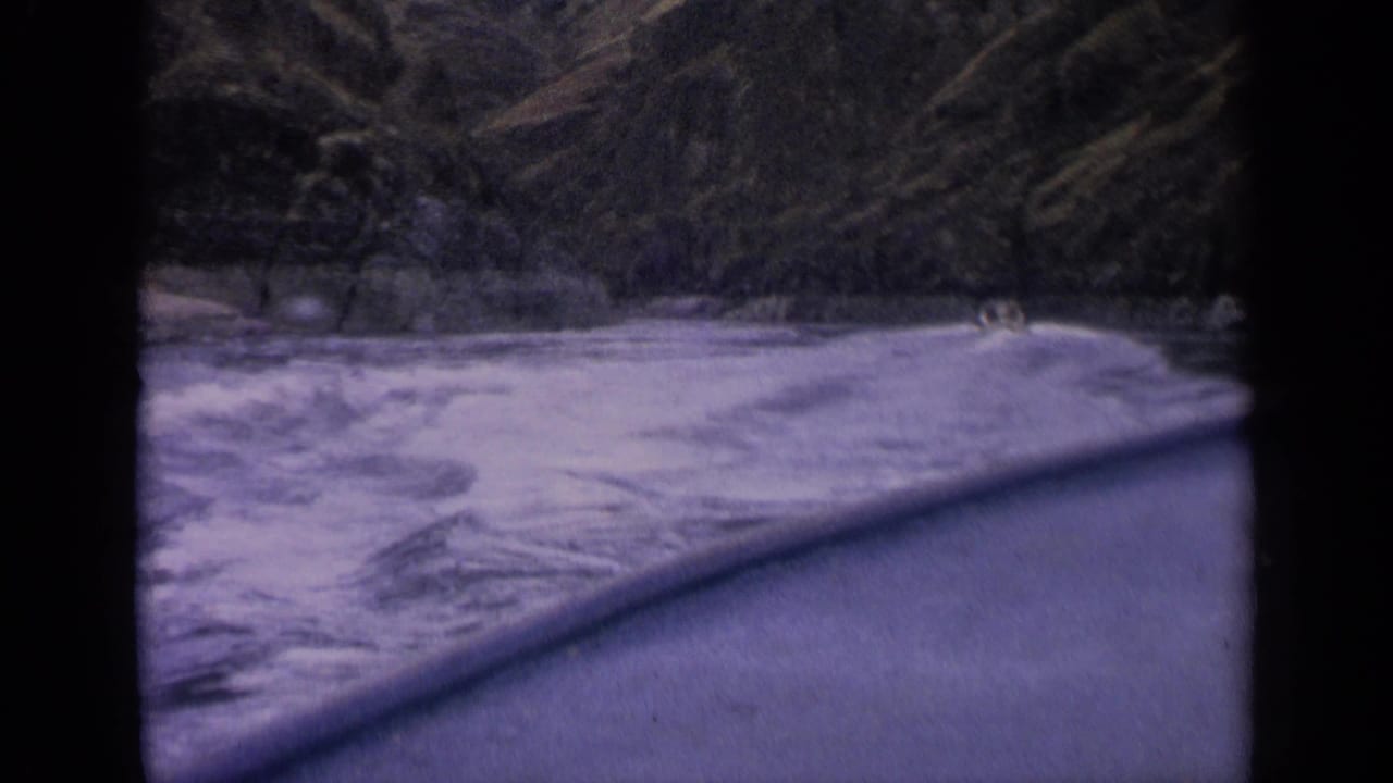 Curving boat edge beside foamy river water and dense trees.