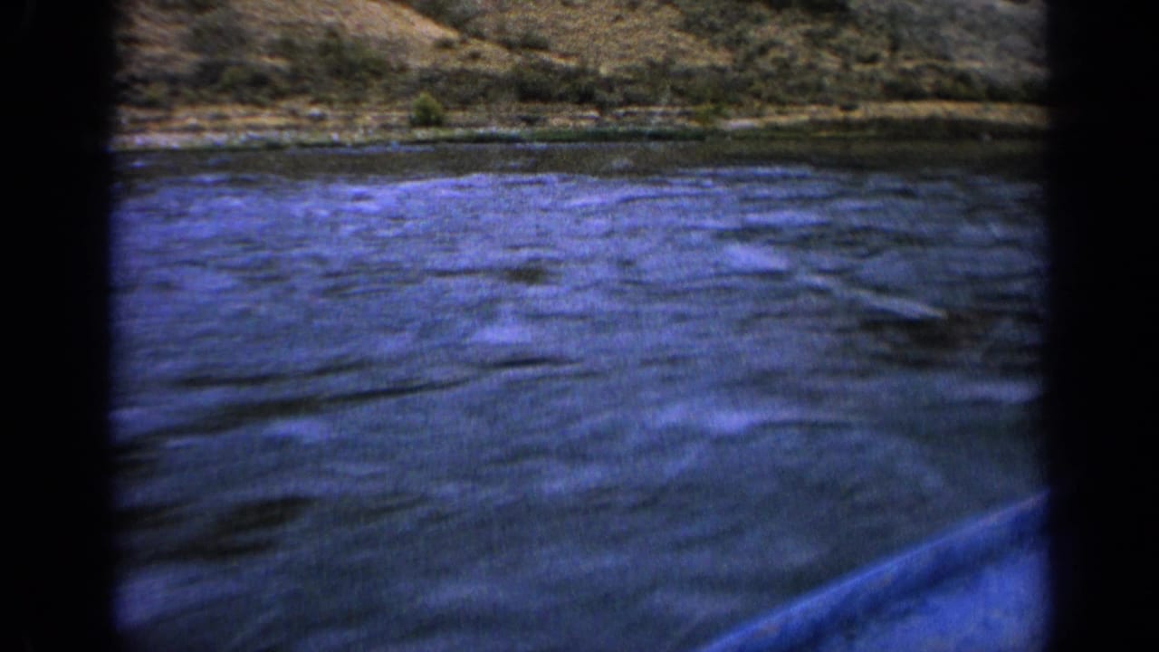 Rippling river water seen from a moving boat with shoreline at the top of the frame.