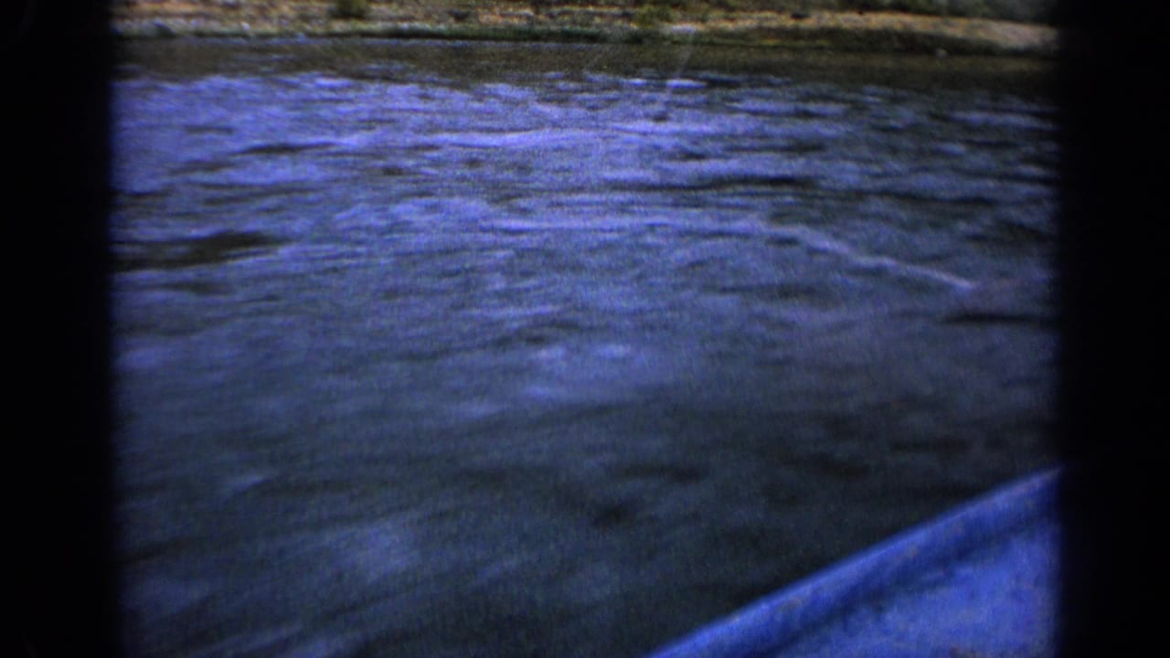 River surface fills the frame with a blue boat edge visible at lower right.