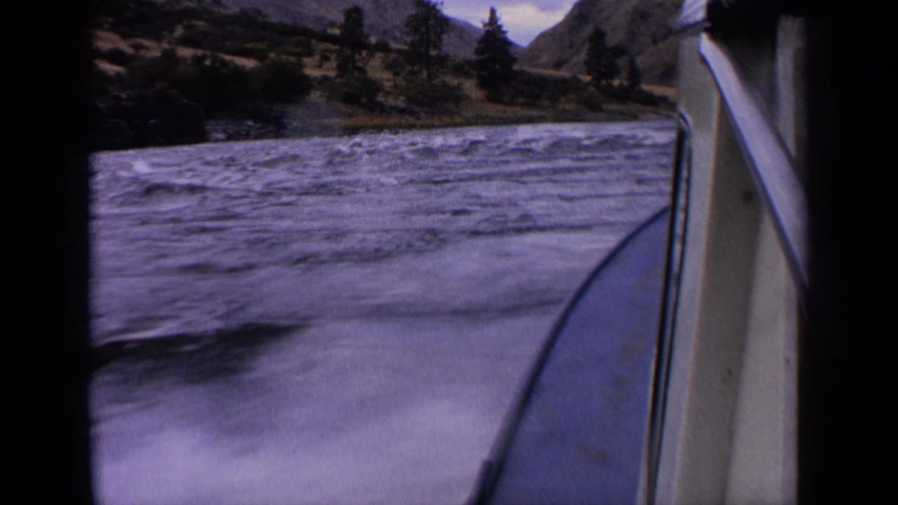 Boat-side view over rushing river water with shoreline trees and mountains beyond.