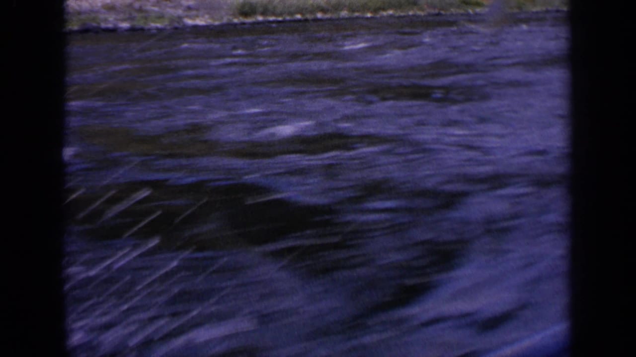 Dark rippled water with a narrow strip of shoreline at the top.