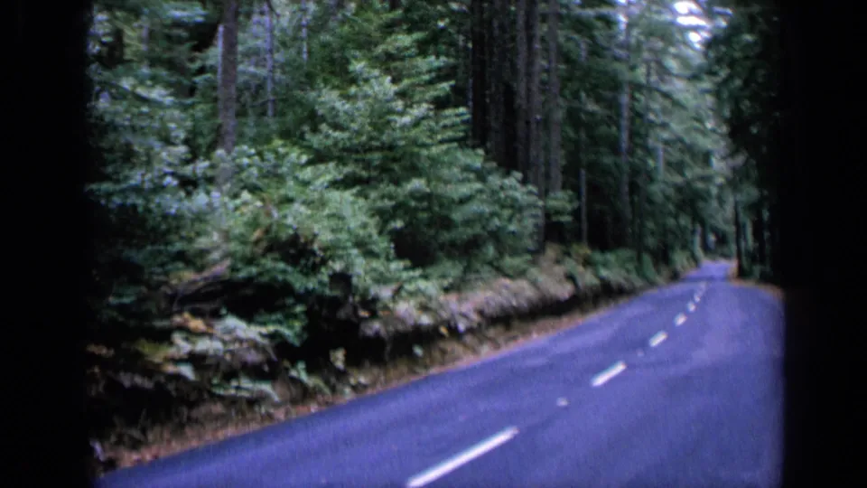 Vintage 8mm travel frame showing a two-lane road running through dense California woodland.