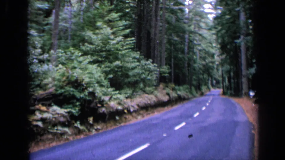 Vintage travel footage frame of a curving forest road with tall trees and soft 8mm color.
