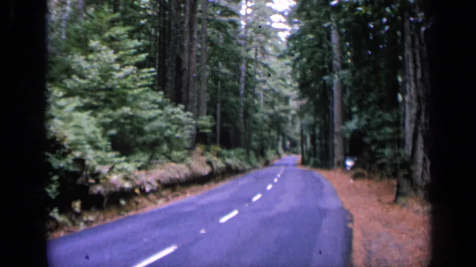 Vintage 1963 8mm frame showing a quiet asphalt road curving through tall forest near San Francisco, bordered by brown needles and shrubs.