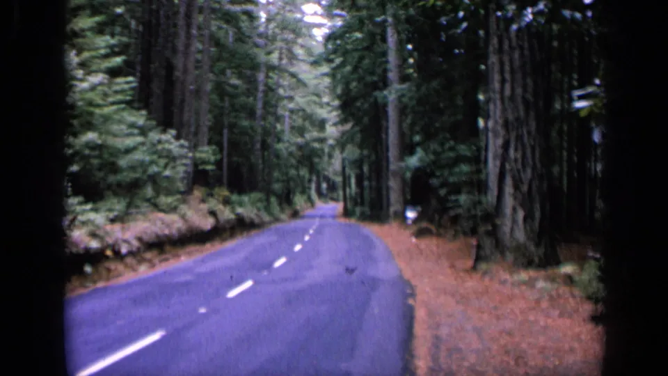 Quiet 1963 home-movie frame of an empty road through tall trees, with soft grain and dark projector framing.