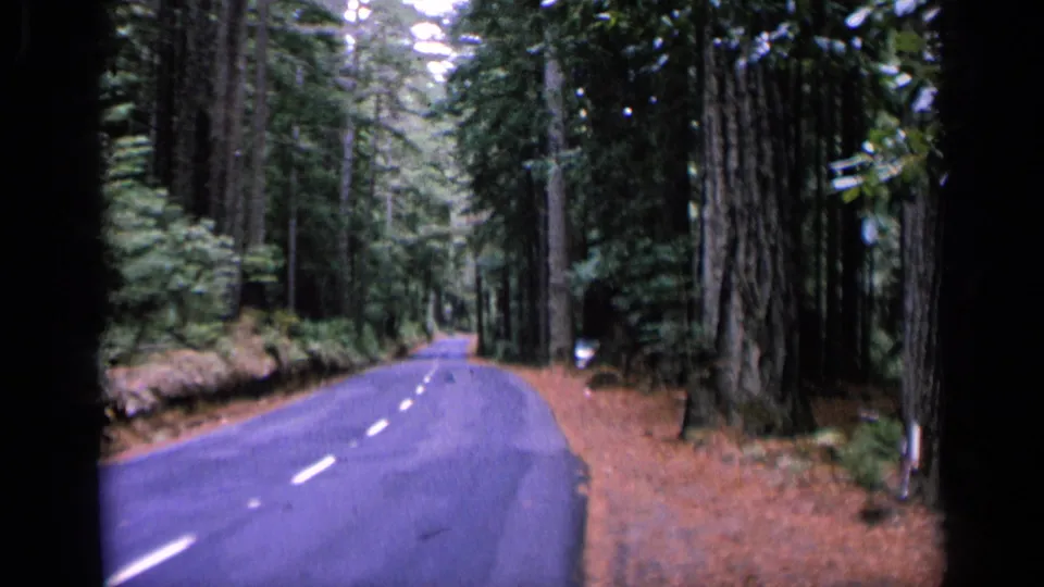 Vintage 8mm road-travel view showing a deserted two-lane roadway curving through mature trees and brown forest floor.