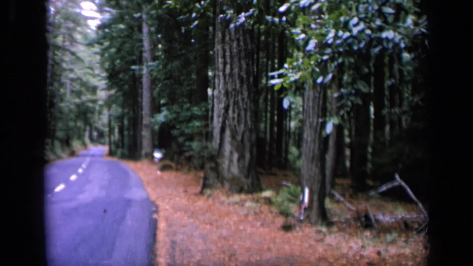 1963 home-movie frame of a paved road running through a wooded San Francisco-area scene, with large trunks and dark frame borders.