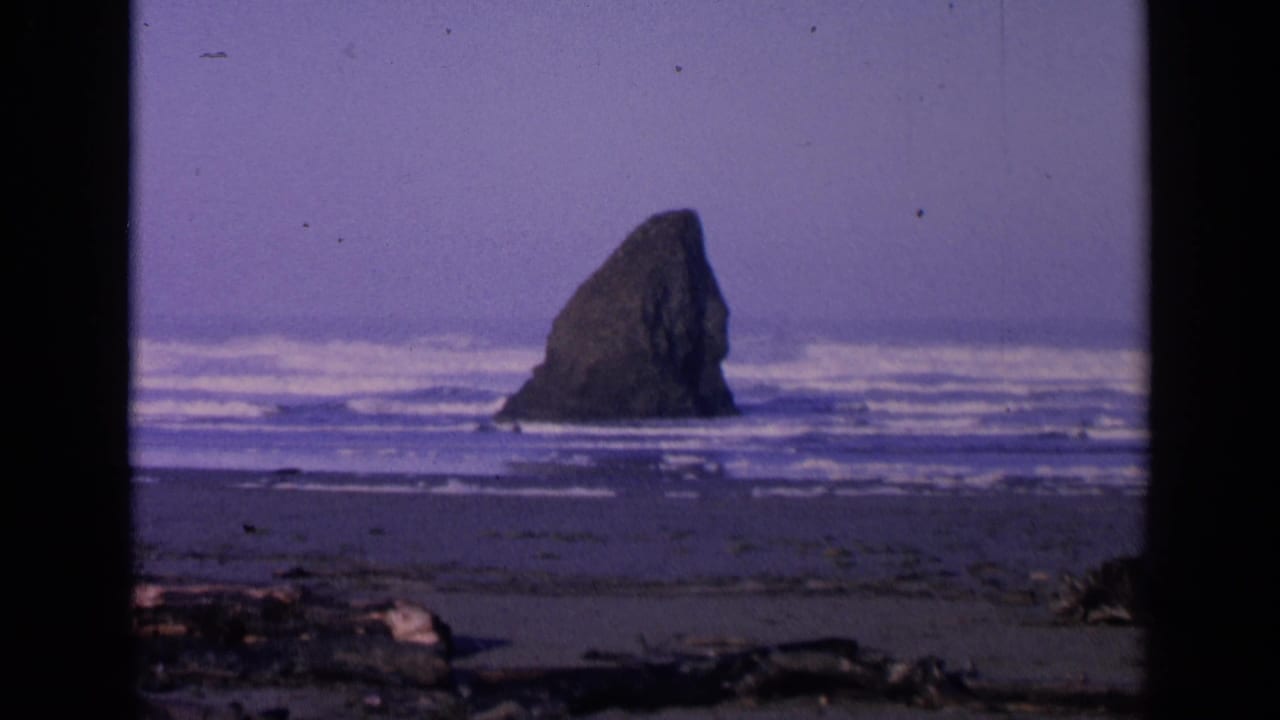 Sea stack offshore with waves breaking behind driftwood on a sandy beach.
