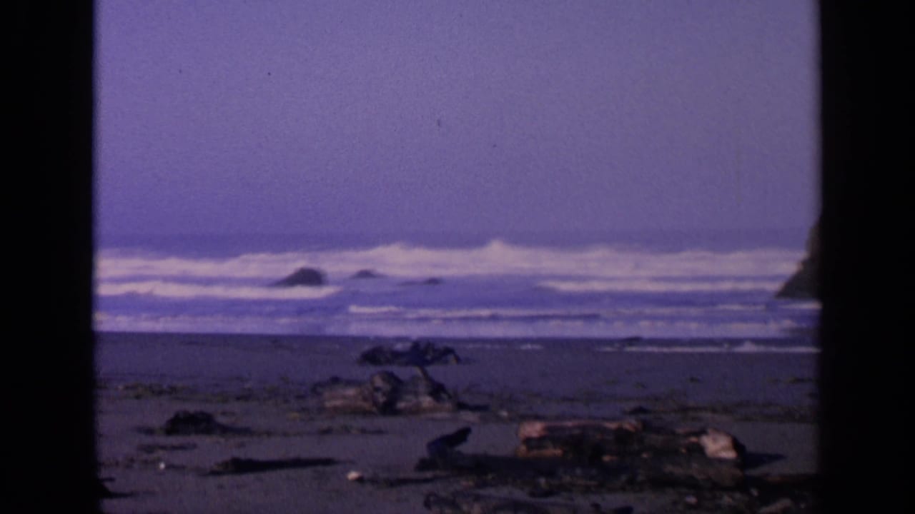 Sandy beach with driftwood, offshore rocks, and low waves under a purple sky.