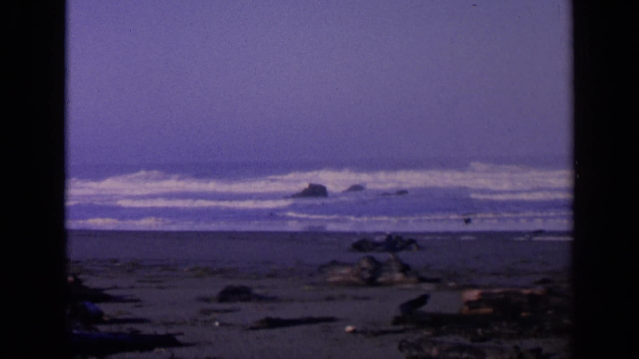 Beach shoreline with waves, scattered driftwood, rocks, and dark vertical film borders.