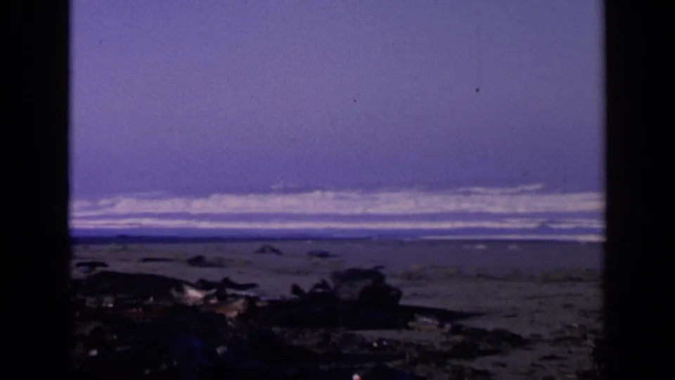 1963 San Francisco coastal frame with incoming waves, muted sky, and a shadowed beach foreground of driftwood and rocks.