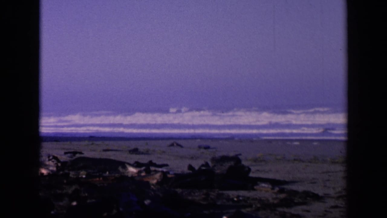 Distant surf beyond a dark rocky shoreline under a purple sky.