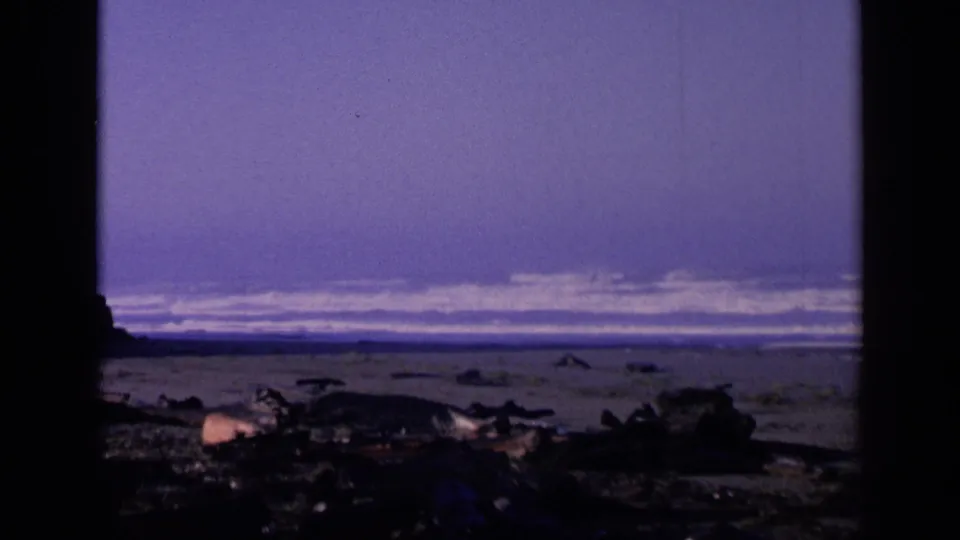 1963 8mm frame showing distant ocean surf, dark shoreline rocks, and a purple color cast from archival film.