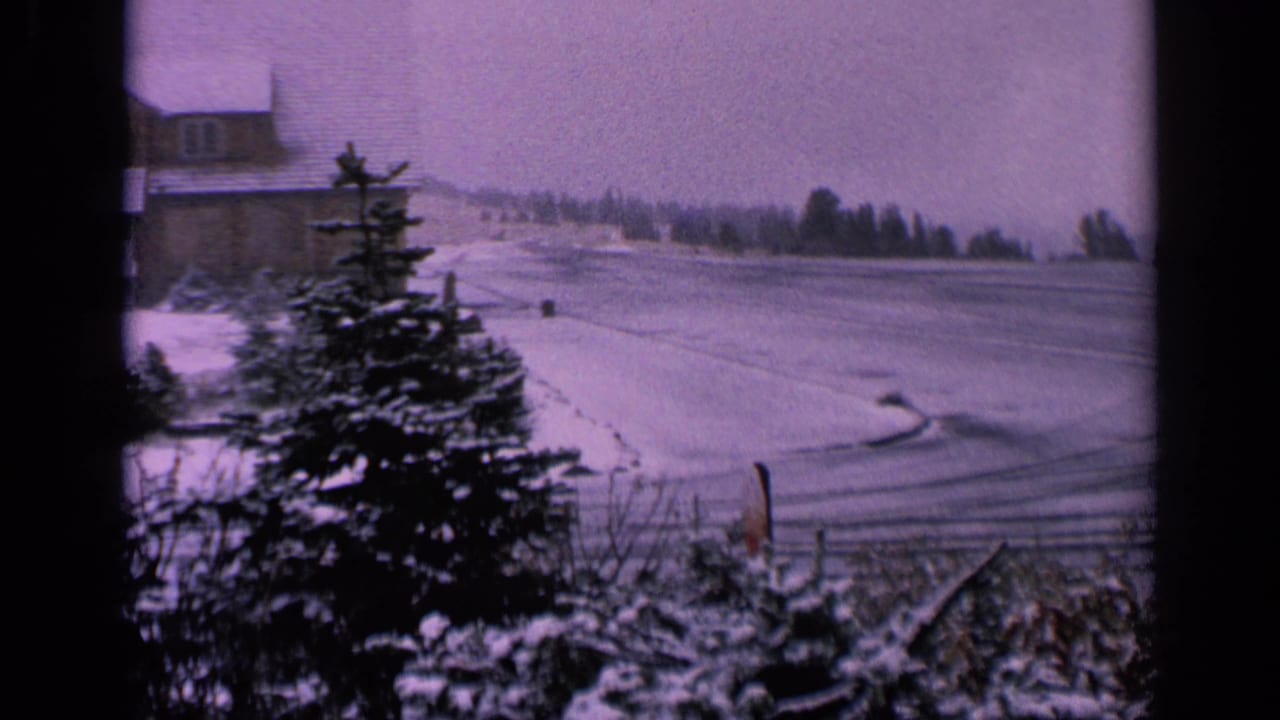 1963 Washington 8mm frame showing a snowy rural field framed by evergreens, foreground shrubs, tire tracks, and a distant building.