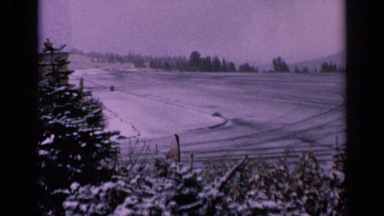 Snowy rural field with evergreens, tire tracks, shrubs, and distant trees.