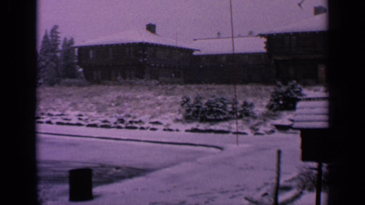 Snowy road and log-style houses with shrubs and a dark mailbox in the foreground.