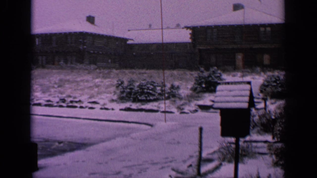 Snow-dusted cabin-like buildings, shrubs, road edge, and a mailbox near the foreground.
