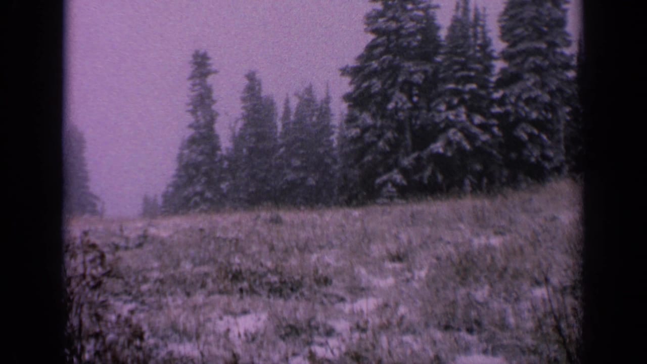1963 Washington 8mm frame with snowy evergreen trees, winter grass and brush, light snow cover, and a hazy purple-tinted sky.