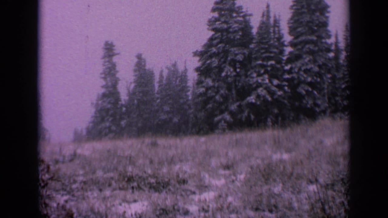 1963 Washington 8mm frame showing light snowfall across dry grass and tall snow-dusted conifers under a purple film cast.