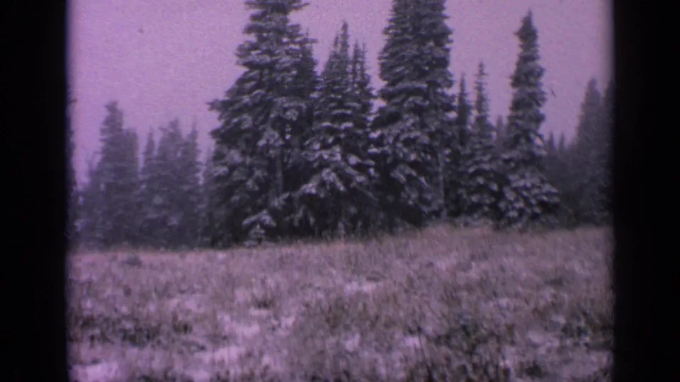 1963 home-movie frame from Washington showing clustered evergreens behind a lightly snow-covered meadow.