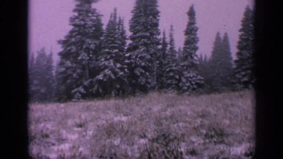 Washington 1963 8mm frame with a pale snowy field, tall conifers, visible grain, and dark rounded frame edges.