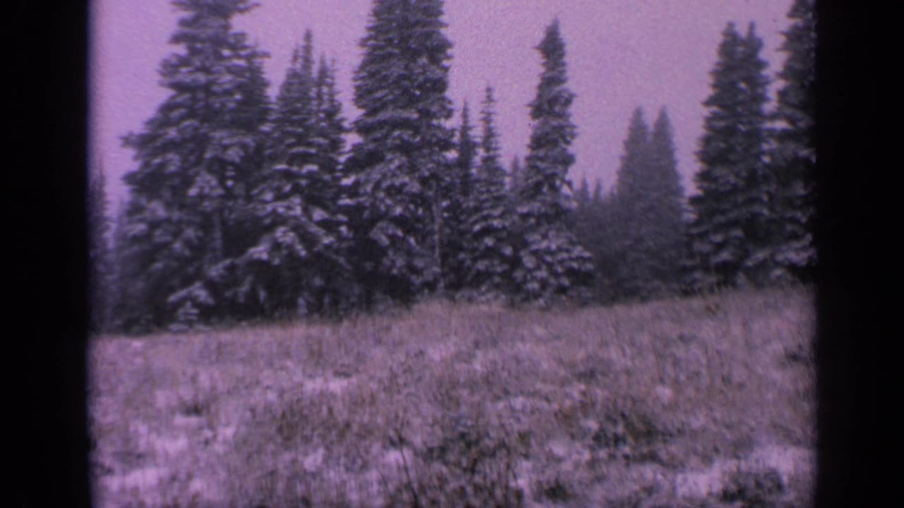 1963 Washington 8mm frame showing snow-covered evergreens and a grassy clearing with soft focus and purple film cast.