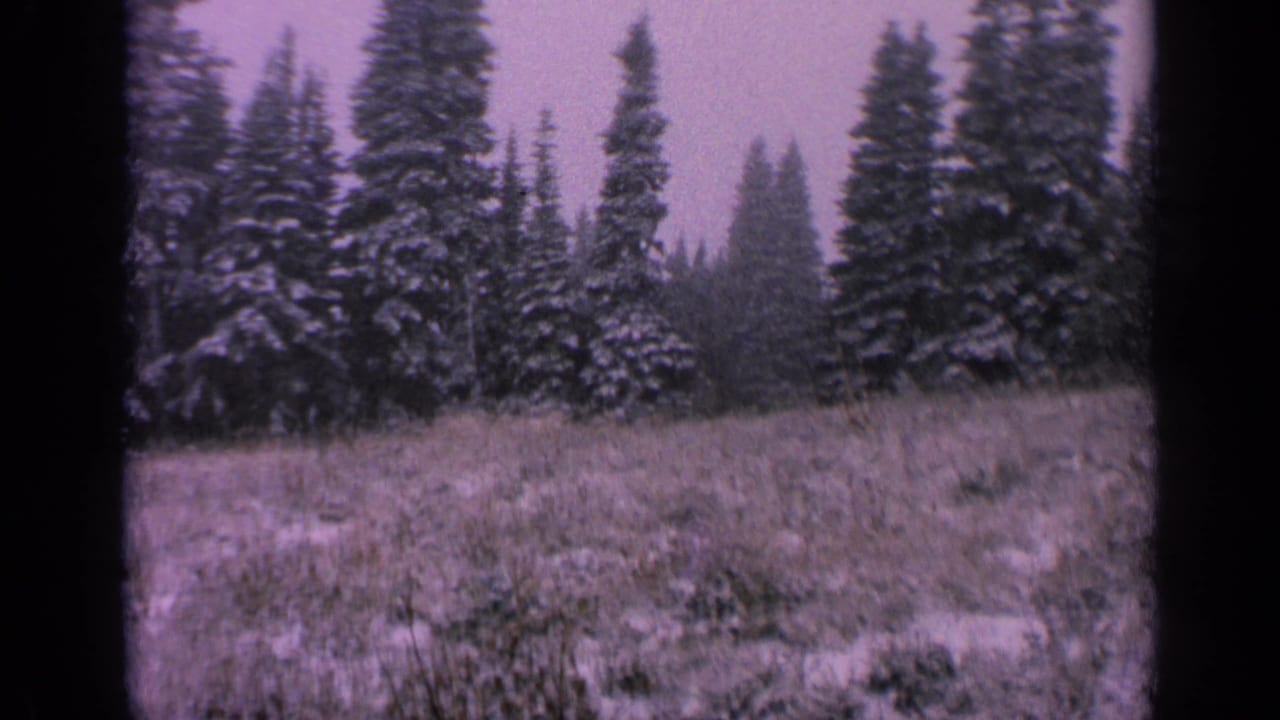 Snowy evergreen clearing in Washington, filmed on 8mm in 1963, with visible gate edge and muted winter color.