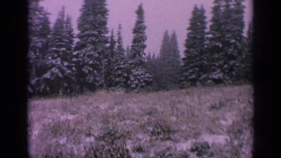 Snowy evergreen clearing in Washington, filmed on 8mm in 1963, with visible gate edge and muted winter color.