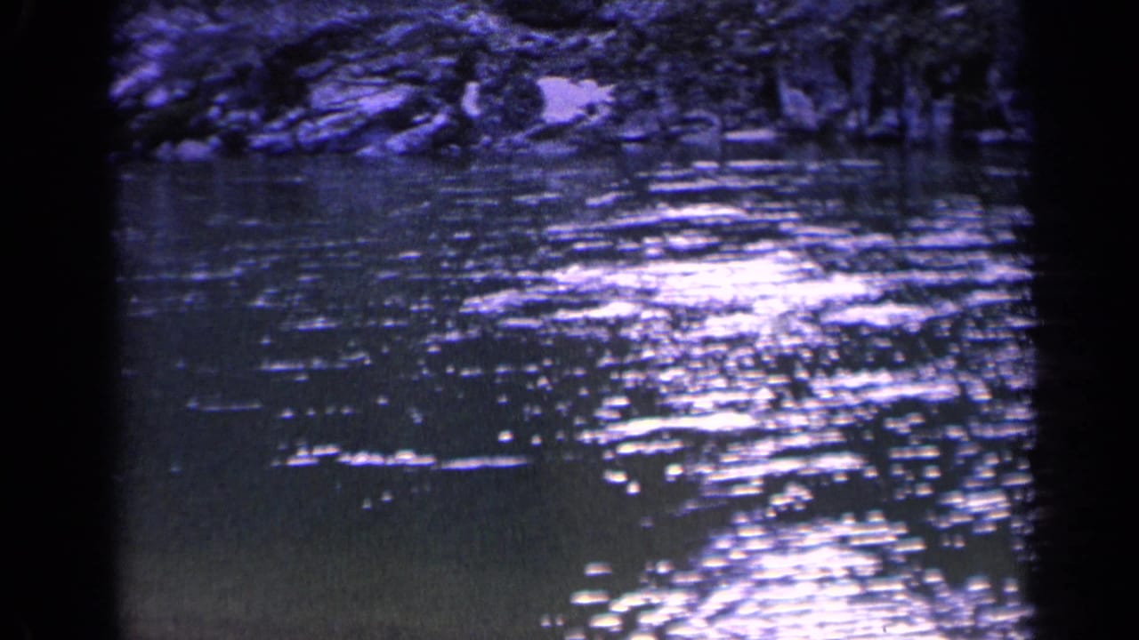 Dark river water with bright ripples, a rocky bank, and shaded foliage above.