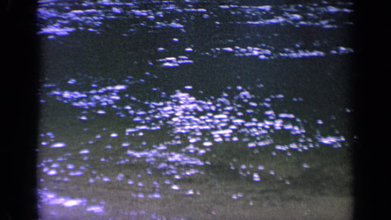 1963 Washington home-movie frame showing gentle lake ripples, scattered sun glints, and shallow sandy water near shore.