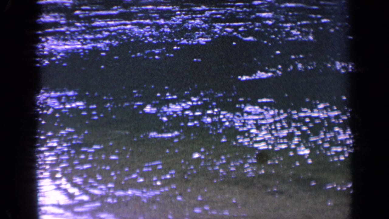 Dark water surface with scattered purple-blue highlights and ripples.