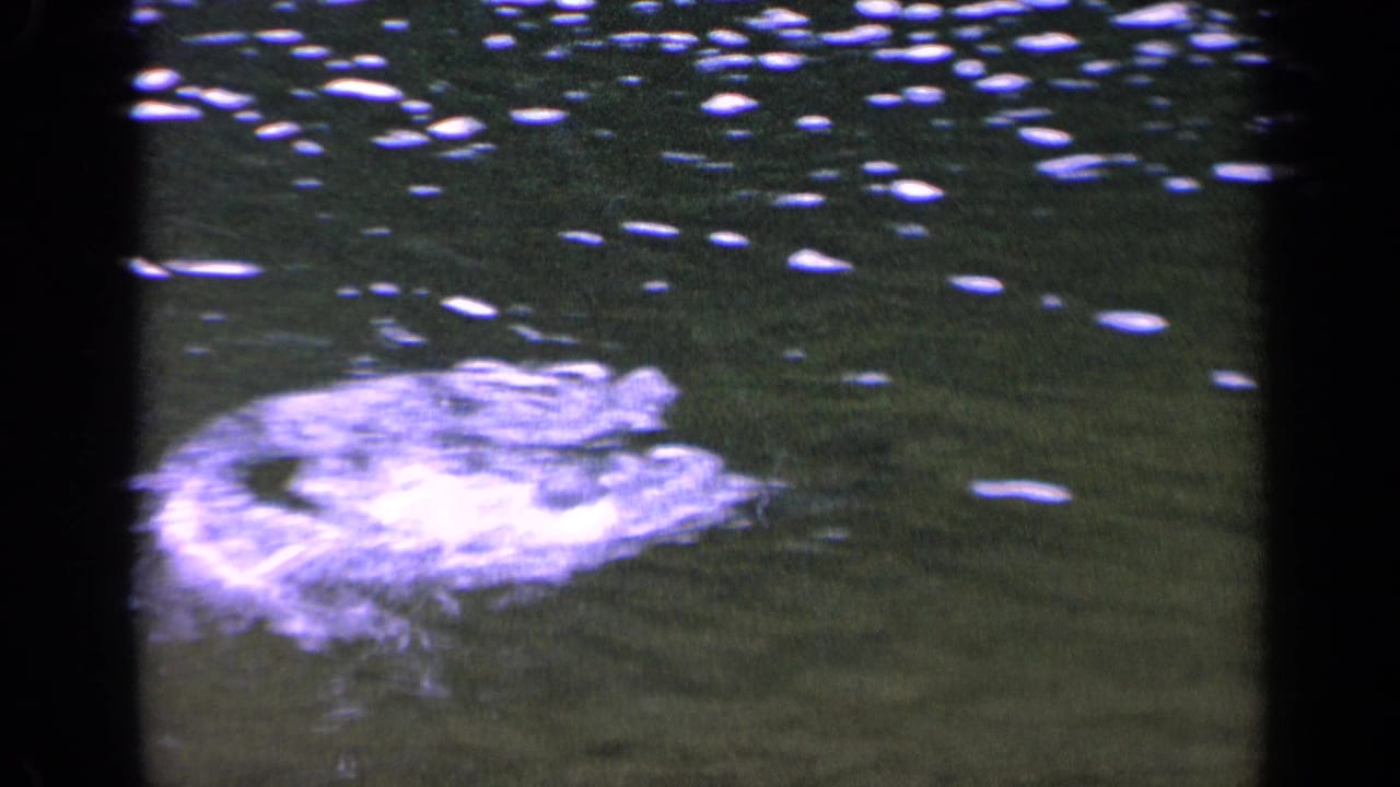 Rippling water with a pale circular disturbance and scattered highlights.