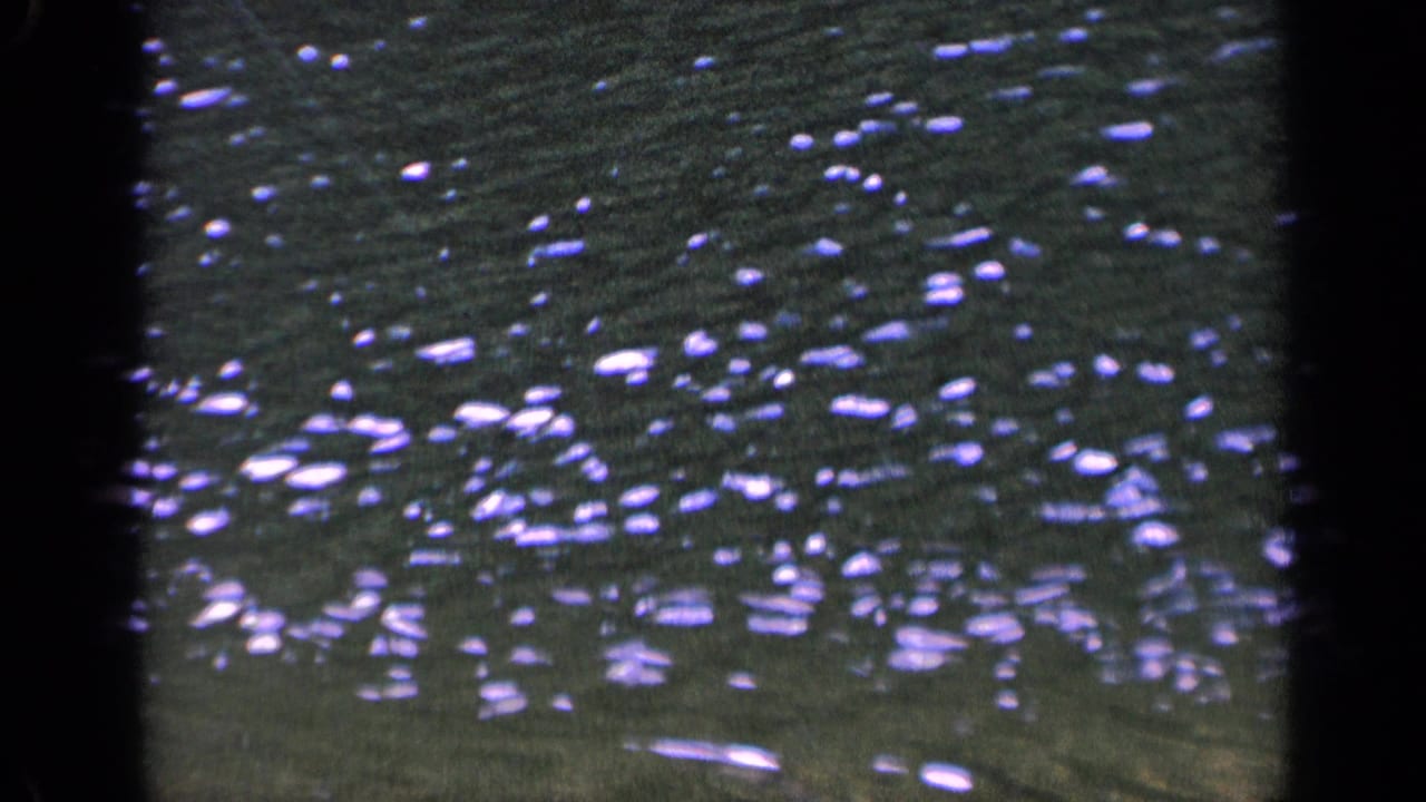 1963 Washington 8mm frame of lake water, with clustered bright reflections across the surface and a dark vertical film boundary.