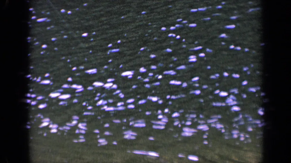 1963 Washington 8mm frame of lake water, with clustered bright reflections across the surface and a dark vertical film boundary.