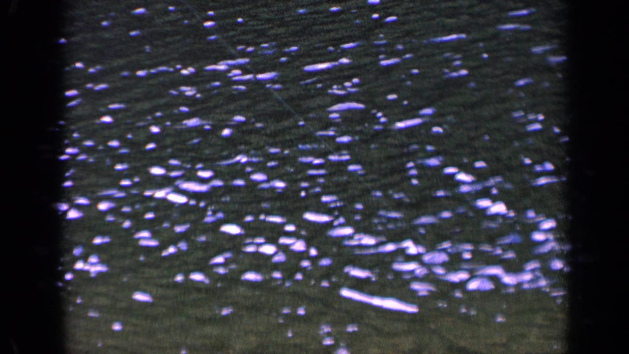 1963 Washington 8mm frame showing a close, abstract view of rippling lake water with bright highlights and visible film grain.