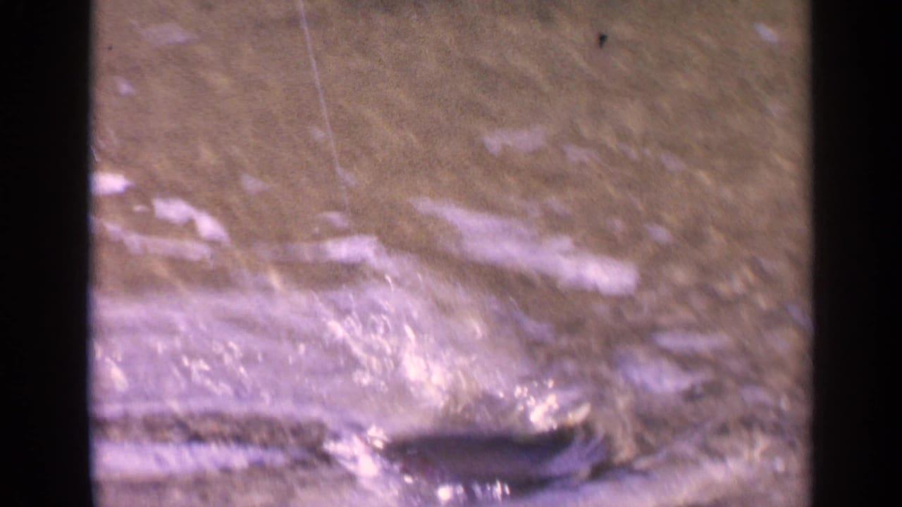1963 Washington 8mm frame showing shallow lake water with a dark fish shape near the surface amid glare and soft focus.