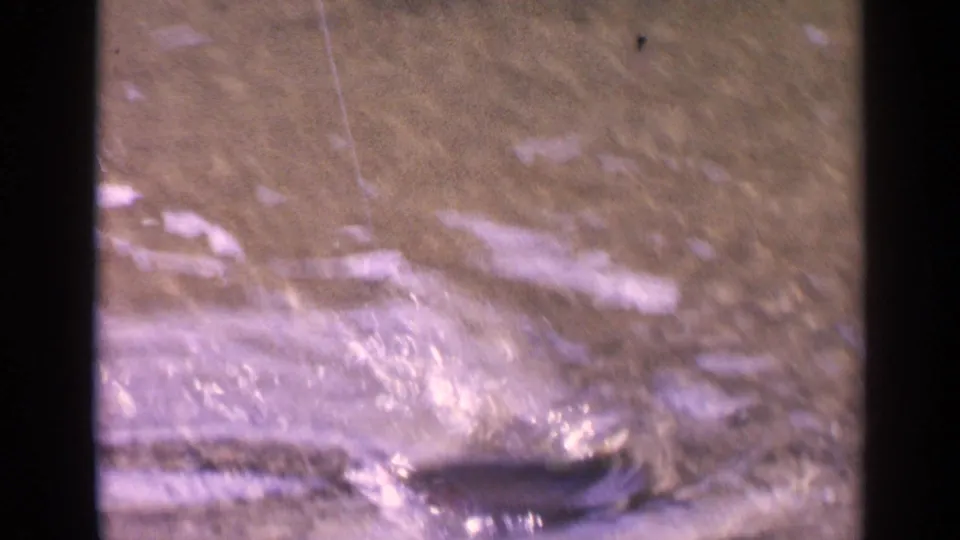 1963 Washington 8mm frame showing shallow lake water with a dark fish shape near the surface amid glare and soft focus.