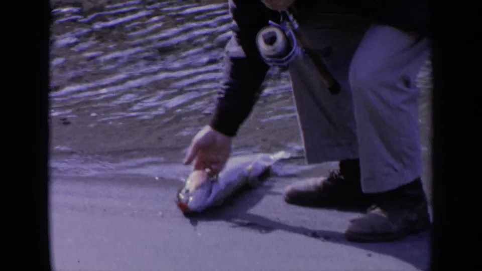 In 1963 Washington home-movie footage, a fisherman in light pants reaches toward a fish at the lake edge.