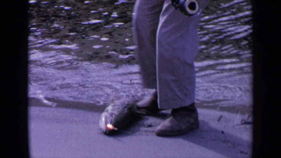 The fish rests at the edge of the water while the fisherman stands close by in light trousers and dark shoes.