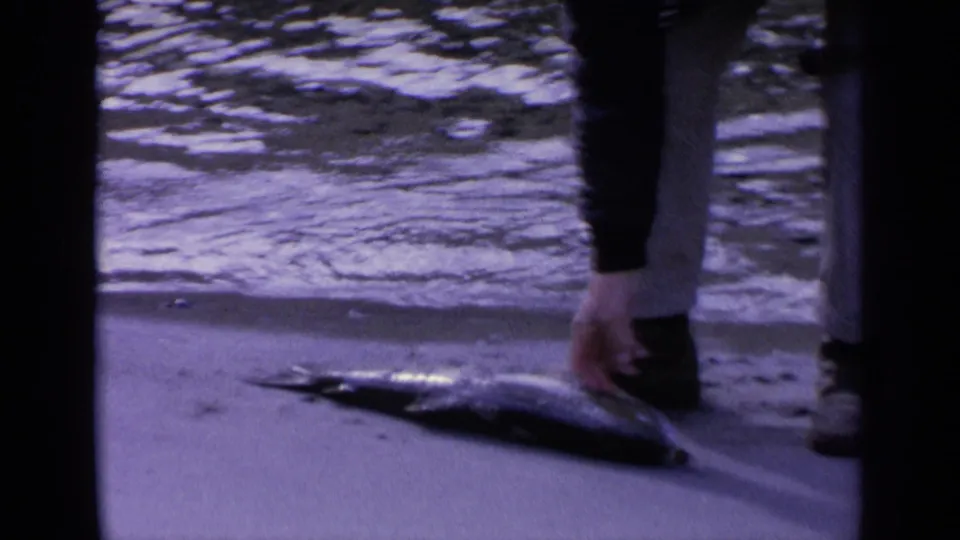 A person reaches toward the fish at the lakeshore, with another figure partly visible at the edge of the frame.