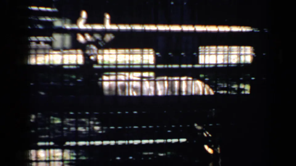 A deer-like animal rests inside a wire enclosure in this 1957 Chicago zoo home-movie frame.