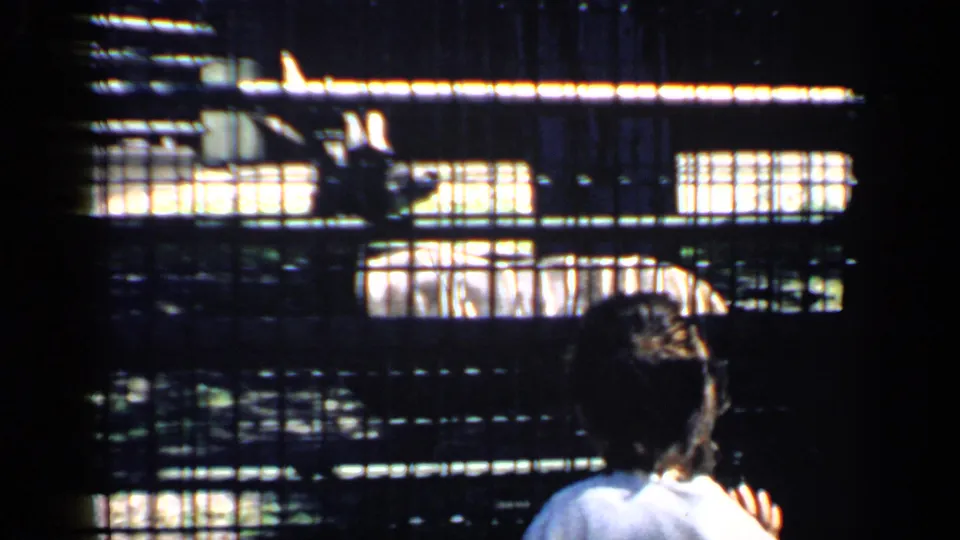 A visitor silhouette appears in the foreground while an animal rests behind mesh at a Chicago zoo in 1957.