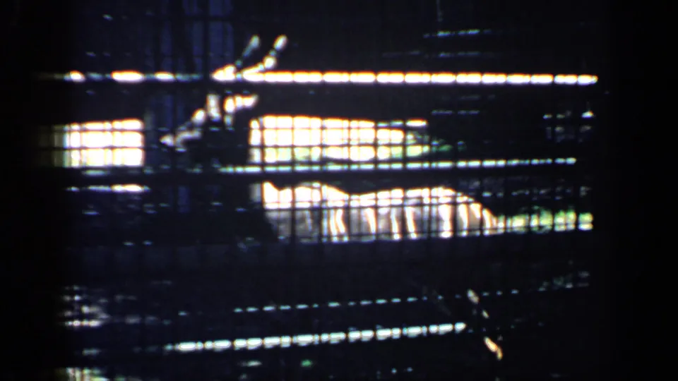 The final frame shows a deer-like animal lying inside a barred zoo enclosure in 1957 Chicago footage.