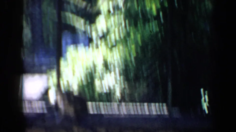 Shaky 1957 Chicago animal park view with blurred foliage, fence lines, and enclosure structures in bright daylight.