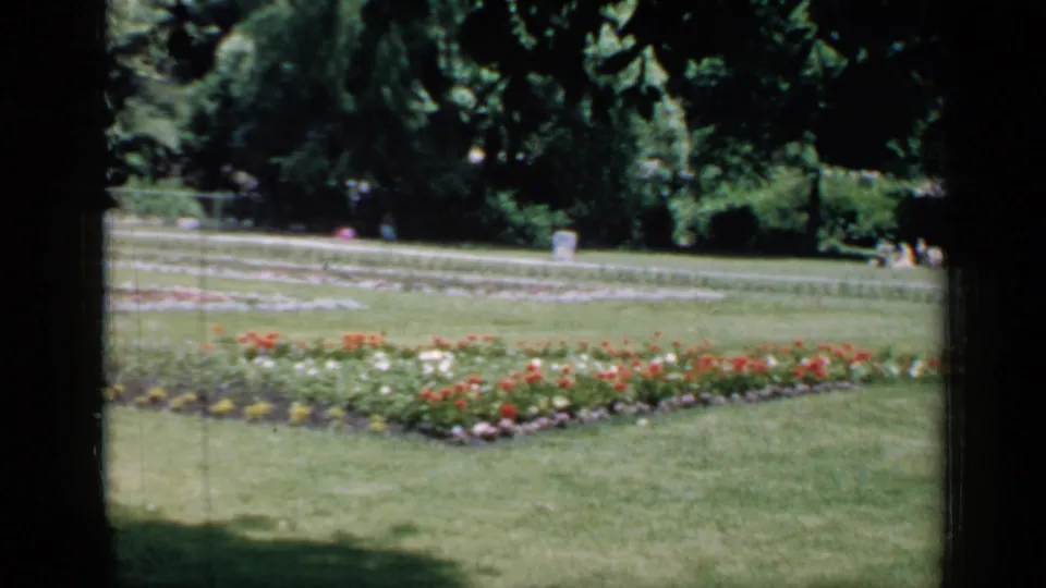 1957 Chicago park view with red and white flower beds, open grass, distant visitors, and dense trees beyond.