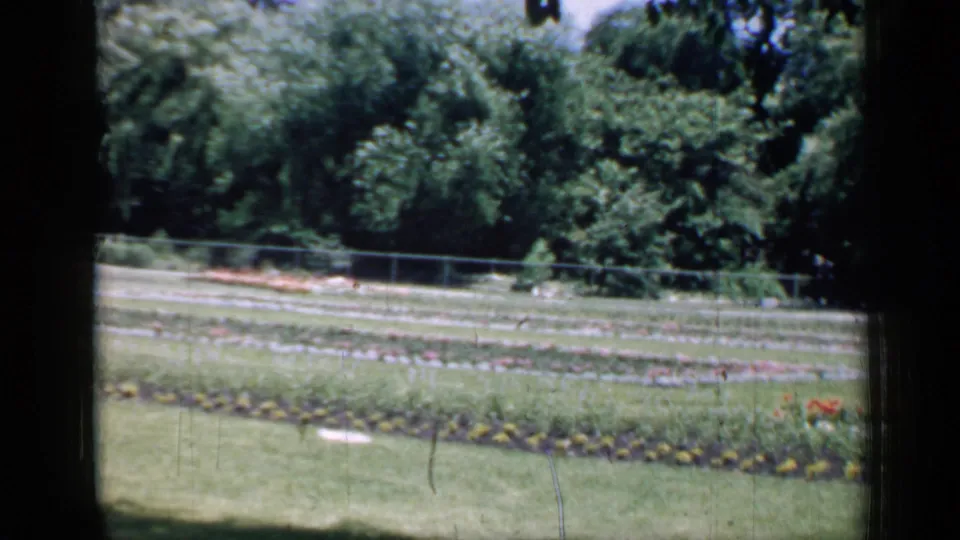 1957 Chicago home-movie frame showing flower beds, lawn, garden paths, and dense trees from a shaded viewpoint.