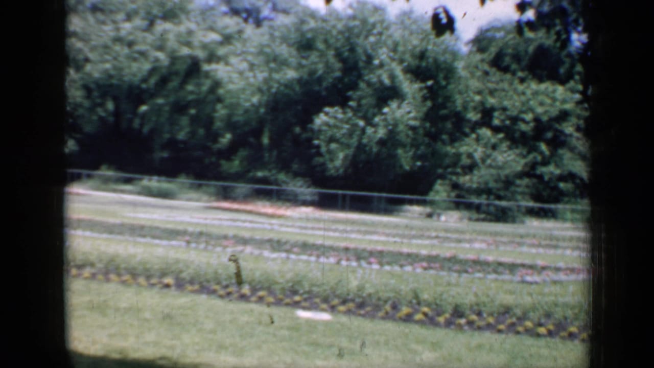 1957 Chicago 8mm frame showing planted rows, lawn, a chain-link fence, and dense trees beyond dark frame borders.