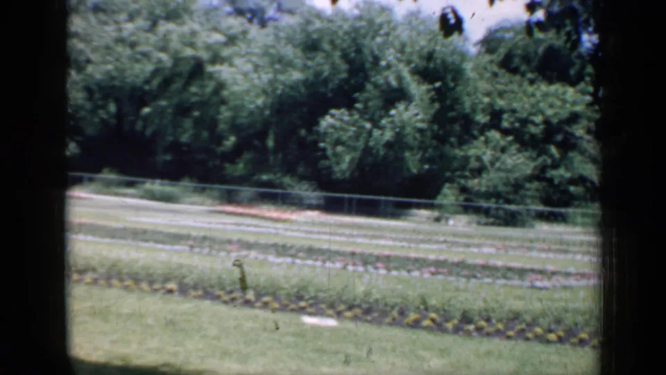 1957 Chicago 8mm frame showing planted rows, lawn, a chain-link fence, and dense trees beyond dark frame borders.